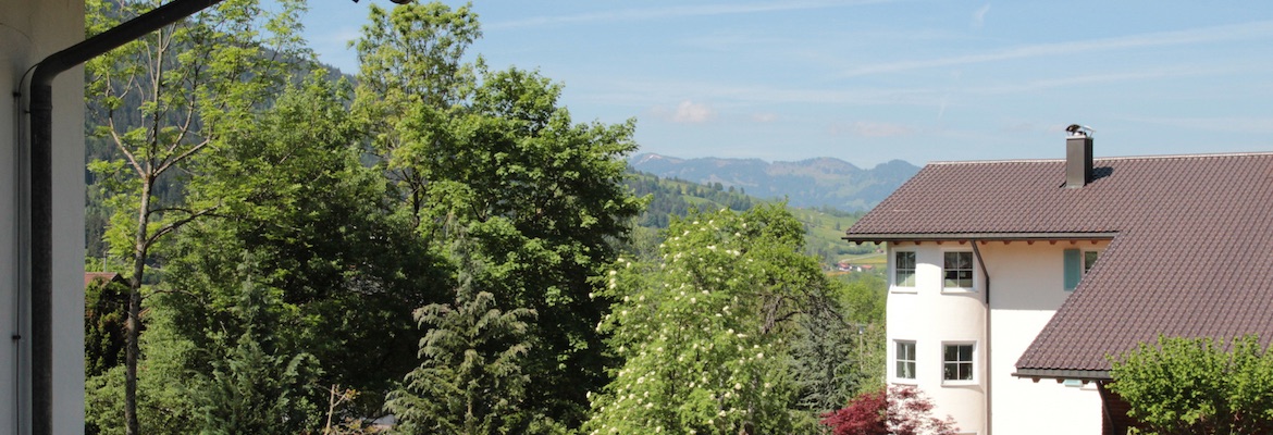 Ferienwohnung Allgäu Bad Hndelang - Umgebung